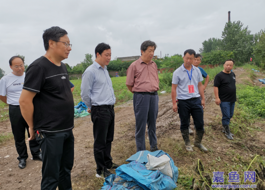 嘉鱼政府-王永赴潘家湾镇簰洲湾镇检查指导防汛工作