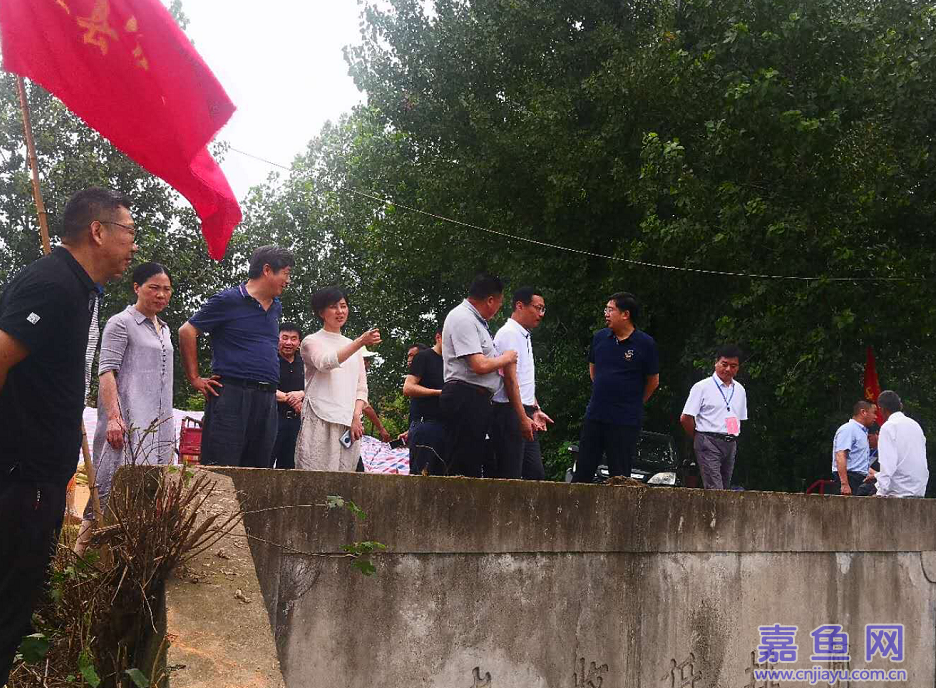 嘉鱼政府-市领导到簰洲湾镇检查防汛工作并慰问防汛一线干群