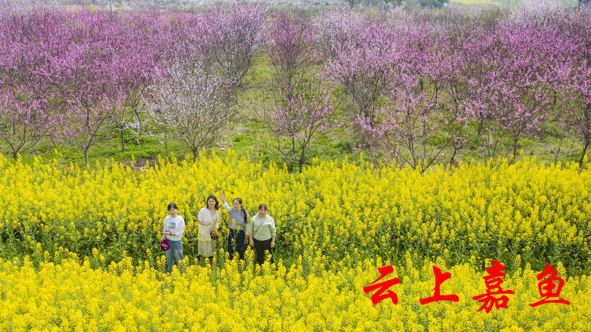 嘉鱼县有什么好玩的地方景点推荐？嘉鱼县十大旅游景点排名-湖北省嘉鱼县旅游攻略必去一日游有哪些免费景点(图1)